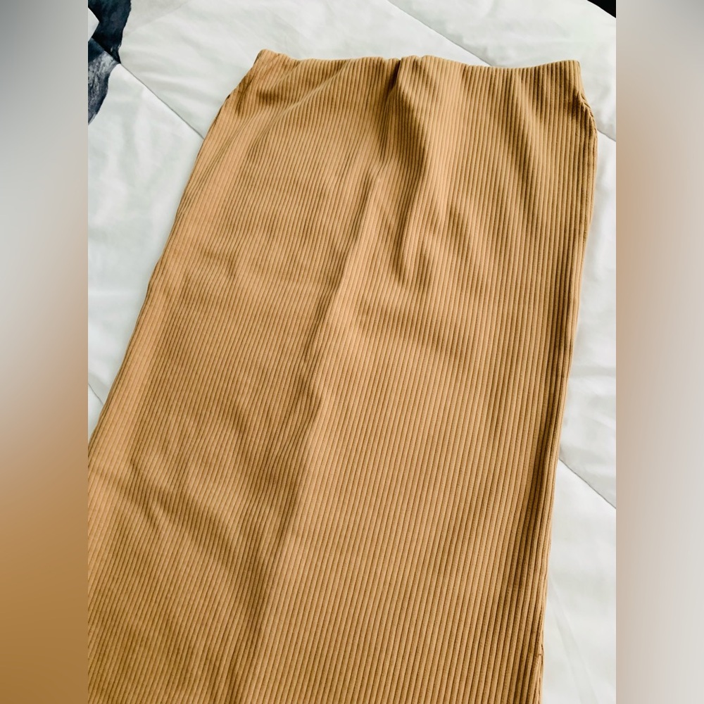 Zara Maxi Skirt